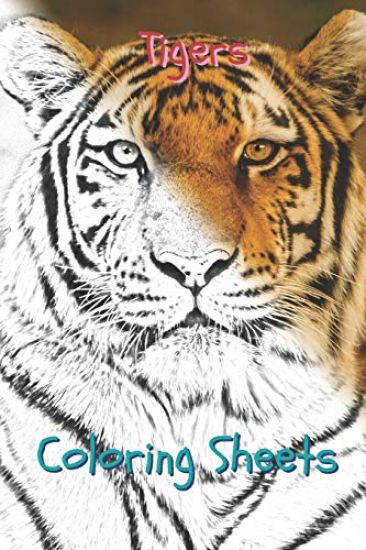 Tigers Coloring Sheets: 30 Tigers Drawings, Coloring Sheets Adults Relaxation, Coloring Book for Kids, for Girls, Volume 1