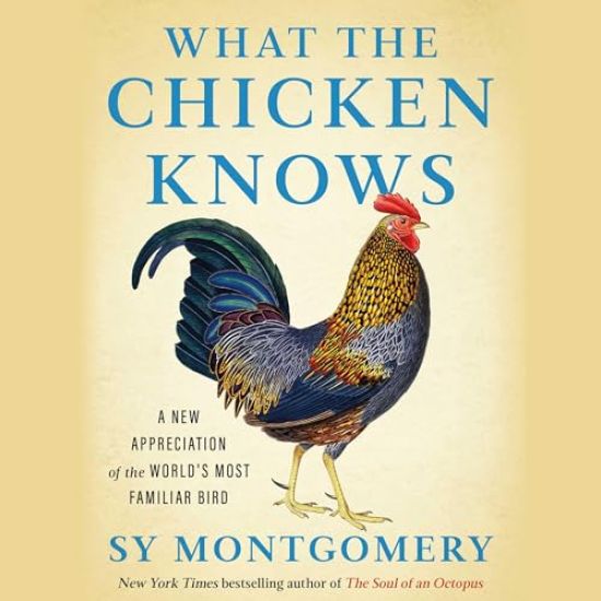 What the Chicken Knows: A New Appreciation of the World's Most Familiar Bird – Sy Montgomery, kirjan kansikuva