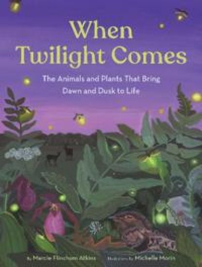 When Twilight Comes