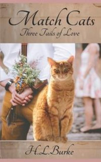 Match Cats