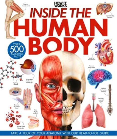 Inside the Human Body: A Complete Guide to How We Work
