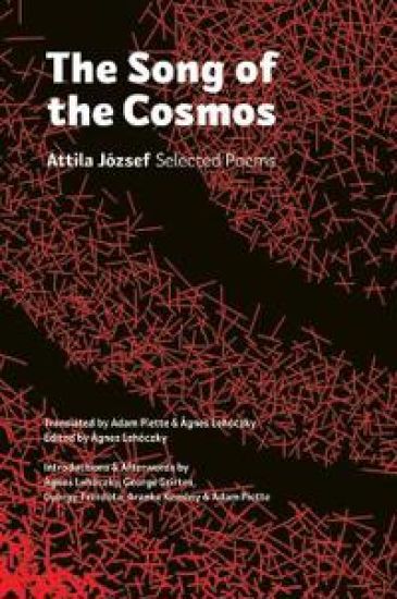 The Song of the Cosmos