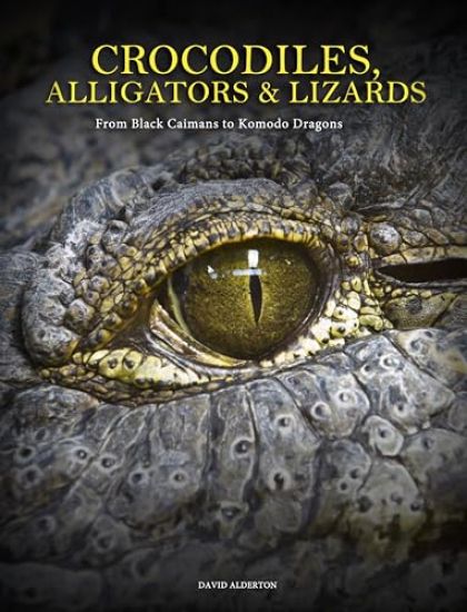 Crocodiles, Alligators & Lizards