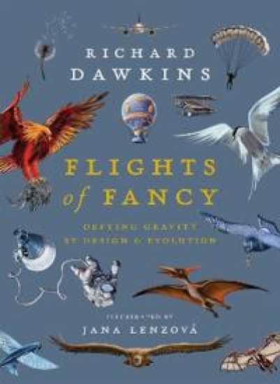 Flights of Fancy