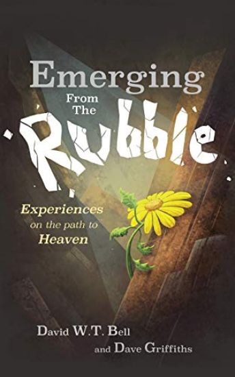 Emerging from the Rubble – David W.T. Bell, kirjan kansikuva