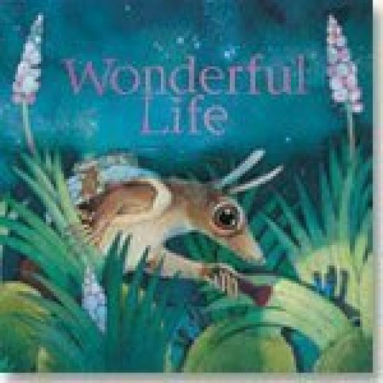 Wonderful Life