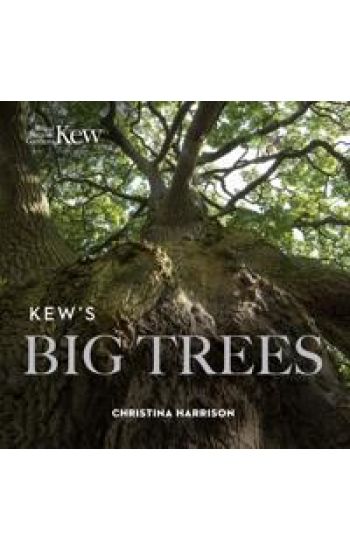 Kew’s Big Trees – Christina Harrison, kirjan kansikuva