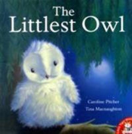 The Littlest Owl