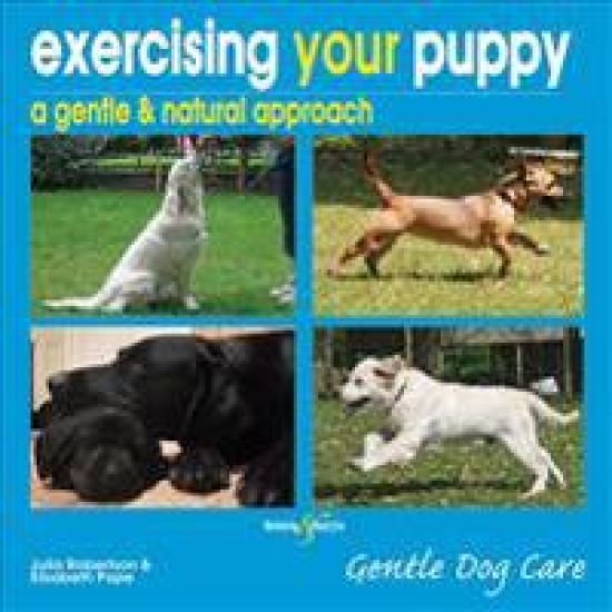 Exercising Your Puppy: a Gentle & Natural Approach