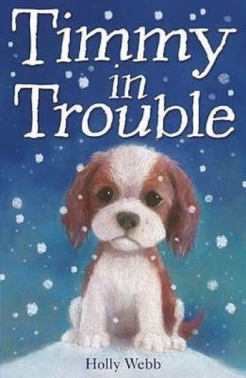 Timmy in Trouble