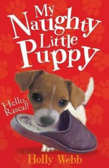 A Home for Rascal