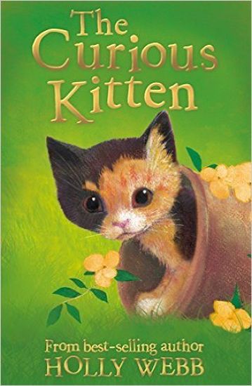 The Curious Kitten