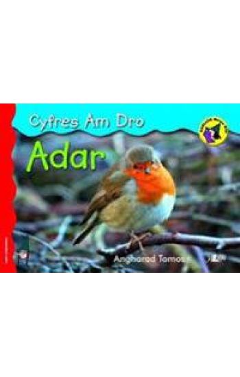 Cyfres am Dro: 3. Adar
