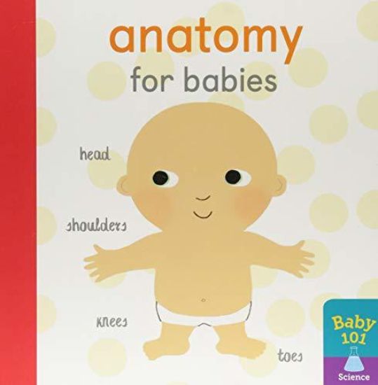 Anatomy for Babies