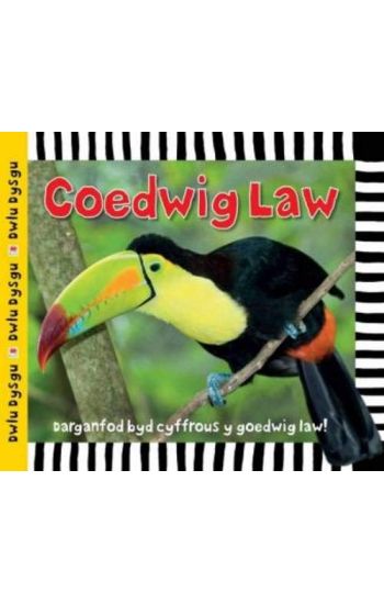 Cyfres Dwlu Dysgu: Coedwig Law
