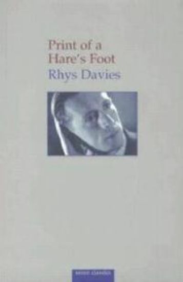 Print of a Hare's Foot