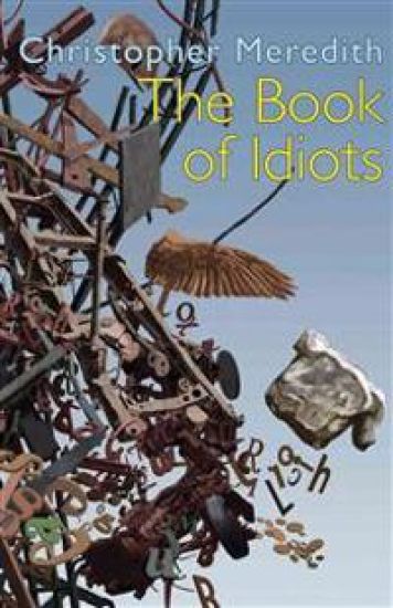 The Book of Idiots