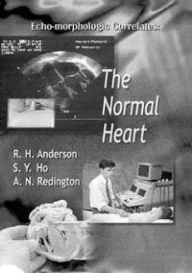 Echo-morphologic Correlates: The Normal Heart (With Video)