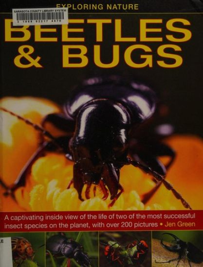 Exploring Nature: Beetles & Bugs