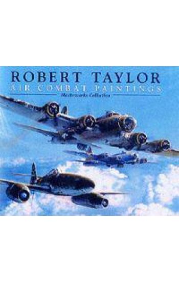 Air Combat Paintings