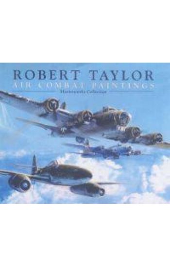 Air Combat Paintings
