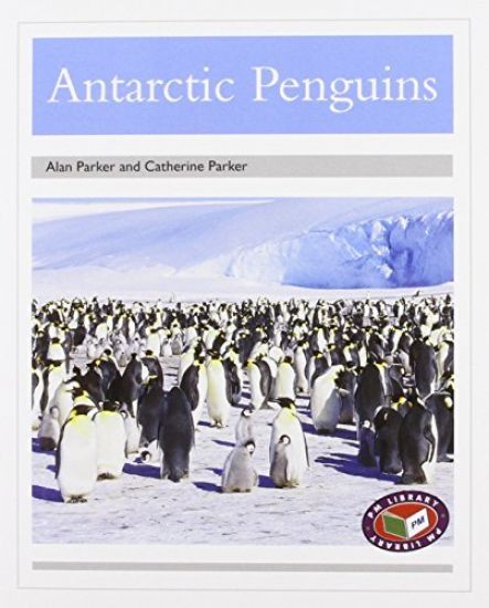 Antarctic penguins