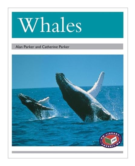 Whales