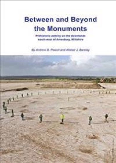 Between and Beyond the Monuments