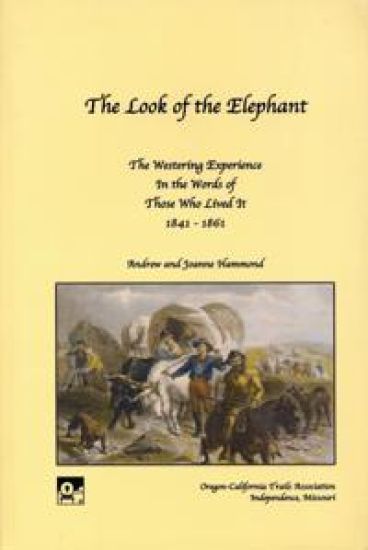 The Look of the Elephant