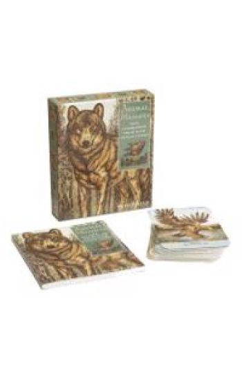 Animal Messages