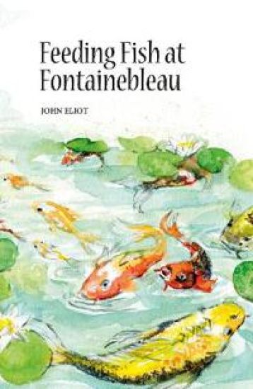 Feeding Fish at Fontainebleau