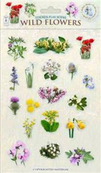 Wild Flowers