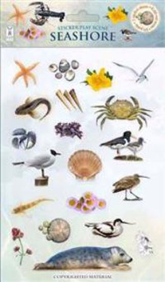 Seashore