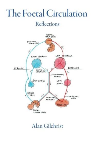 The Foetal Circulation