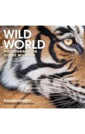 Wild World