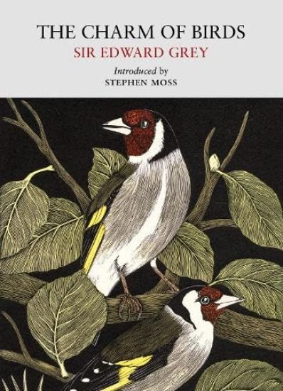 The Charm of Birds