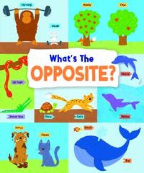 What's the Opposite?