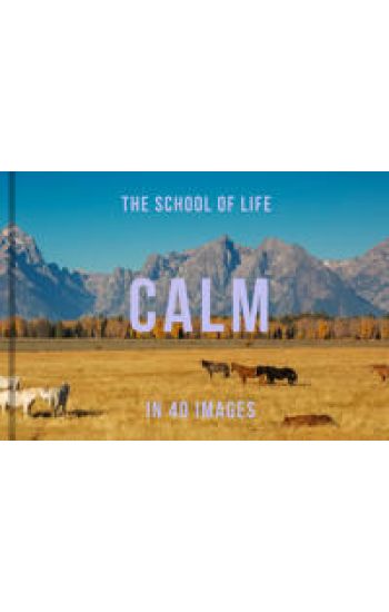 Calm in 40 Images