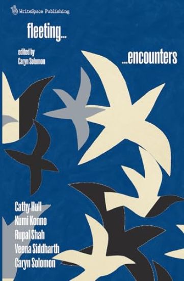 Fleeting Encounters