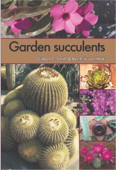 Garden Succulents