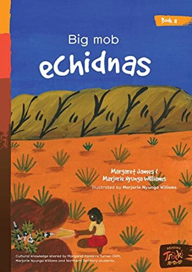 Big Mob Echidnas