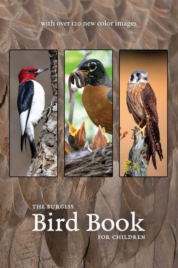 The Burgess Bird Book with New Color Images