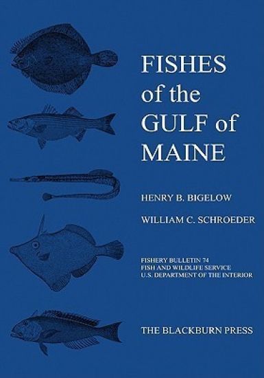 Fishes of the Gulf of Maine