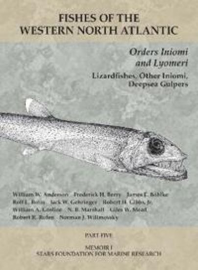 Orders Iniomi and Lyomeri