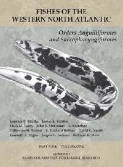 Orders Anguilliformes and Saccopharyngiformes – Eugenia B. Böhlke, kirjan kansikuva