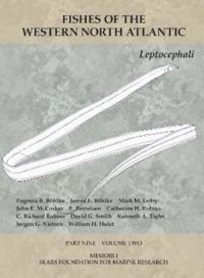 Leptocephali – Eugenia B. Böhlke, kirjan kansikuva