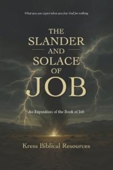 The Slander and Solace of Job