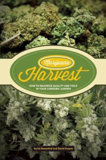 Marijuana Harvest