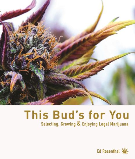 This Bud's For You