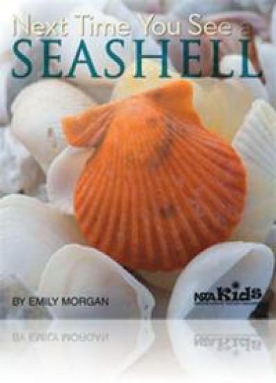 Next Time You See a Seashell